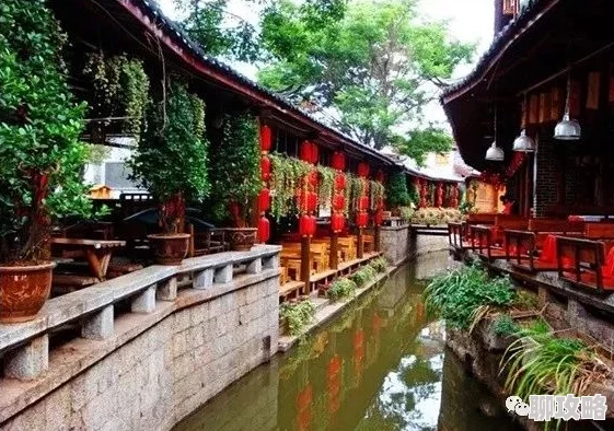 丽江往事全文免费阅读丽江古城近期推出夜游活动吸引游客 丽江往事全文免费阅读丽江古城近期推出夜游活动吸引游客