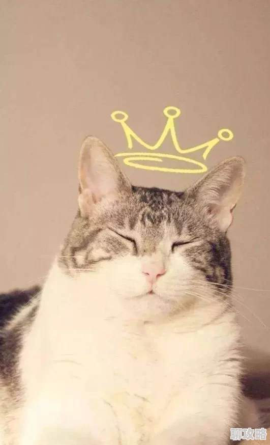 夸克看电影免费为什么高清流畅无广告为何观影体验极佳受追捧