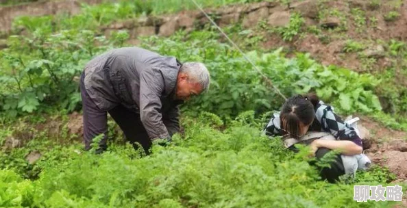 男人的伸到里拔萝卜为何引人入胜因为它展现了人与自然和谐相处的田园牧歌式的美好景象