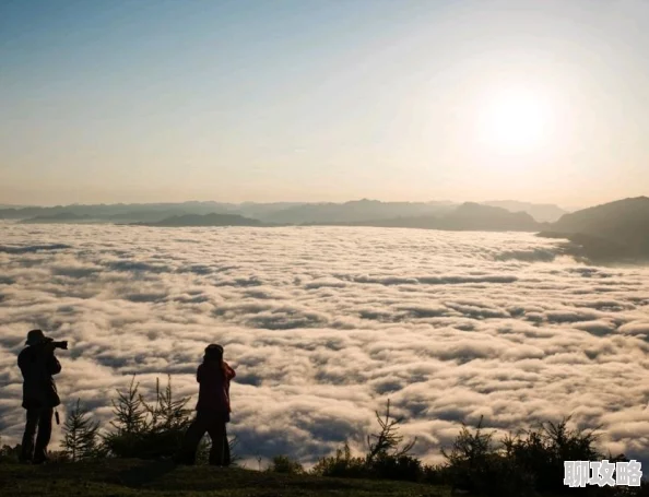 大地资源网27为什么资源丰富更新快为何备受用户喜爱 大地资源网27为什么资源丰富更新快为何备受用户喜爱