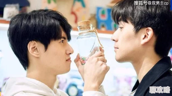 双男主为什么如此流行个性鲜明CP感十足让人心动