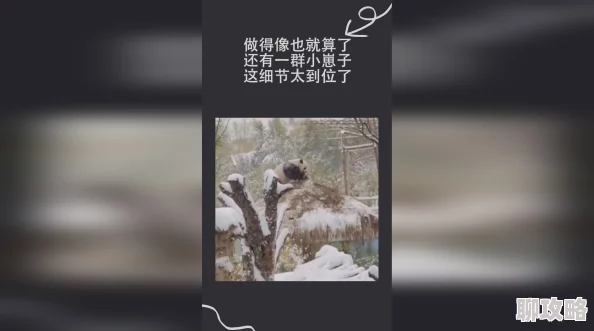 国产特级毛片为什么细节处理到位情感真挚为何让人难以忘怀 国产特级毛片为什么细节处理到位情感真挚为何让人难以忘怀