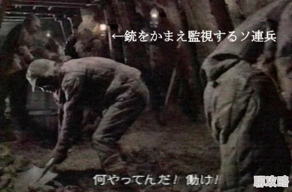 俘虏生活3.0汉化版免费下载为什么它让人欲罢不能汉化且免费的版本更易上手