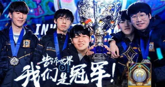 2025热门解读：航海王强者之路顶级格挡阵容搭配策略推荐分享