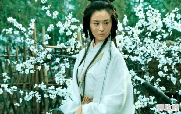 2025放开那三国2国色天香小乔属性技能全面详解与最新玩法