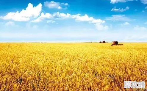 2025年热门指南:明日之后红麻叶高效获取攻略,助力制作最新高级防感染药物 2025年热门指南:明日之后红麻叶高效获取攻略,助力制作最新高级防感染药物